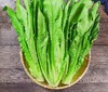 油麦菜 500g （蔬菜） 商品缩略图0