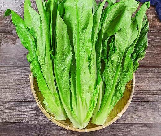 油麦菜 500g （蔬菜） 商品图0