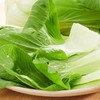 津白菜 250g （蔬菜） 商品缩略图2