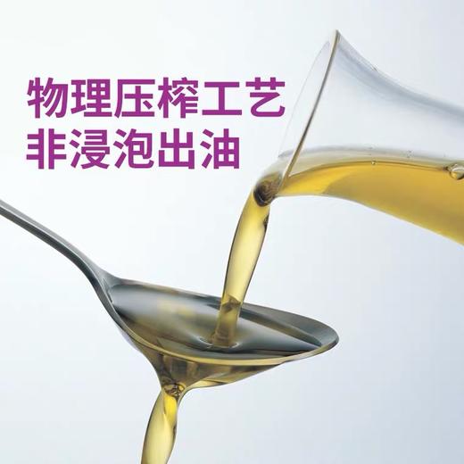 李锦记纯香芝麻油115ml/瓶小瓶调味香油炒菜凉拌白芝麻油香油家用 商品图1