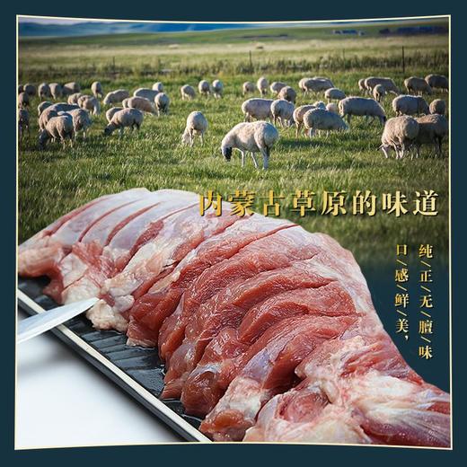 锡盟羔羊肉【羔羊前腿 】  1100g装 商品图1