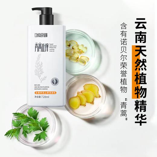 【组合优惠价】青蒿洗发乳，生姜养发，去屑止痒，两款可选，可选择搭配沐浴乳/护发素 商品图0