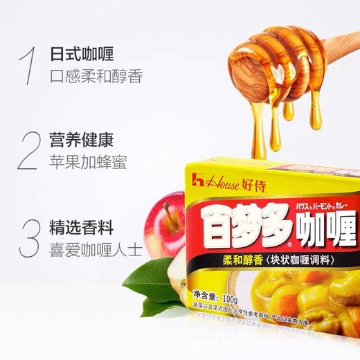 好侍百梦多咖喱原味100g 商品图2