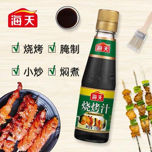海天烧烤汁230ml*1瓶 家用牛排蘸酱卤味叉烧汁腌制酱料烧烤肉专用 商品图0