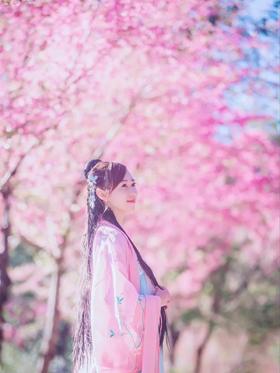  “我在云南等你，看一场比日本早3个月的樱花雪” 
