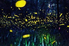  毕业旅行推荐 | 离厦门不远，私藏了一个“小垦丁”，夏日还能在山谷间赏萤火虫 