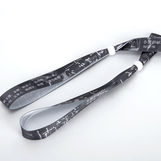 沙沙生长:中国当代民谣走唱录 郭小寒 商品图4