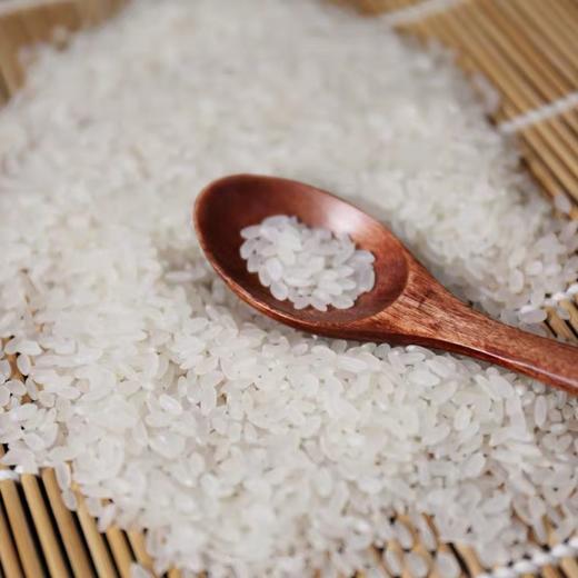 嘉禾香米10kg 商品图1