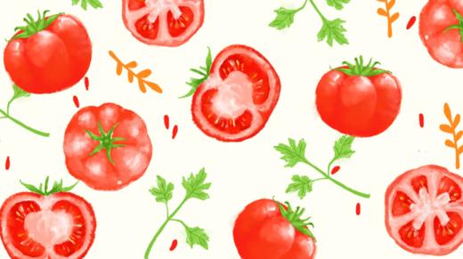 地里的番茄 商品图0