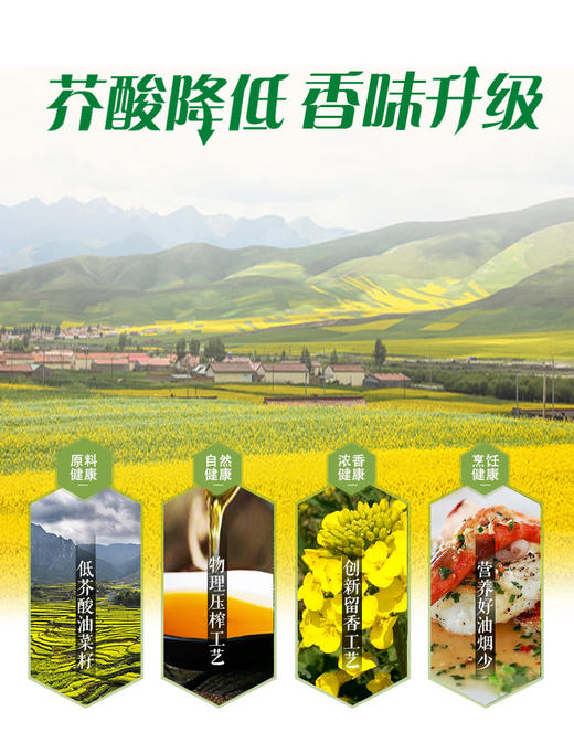 鲁花压榨特香菜籽油5L 商品图4