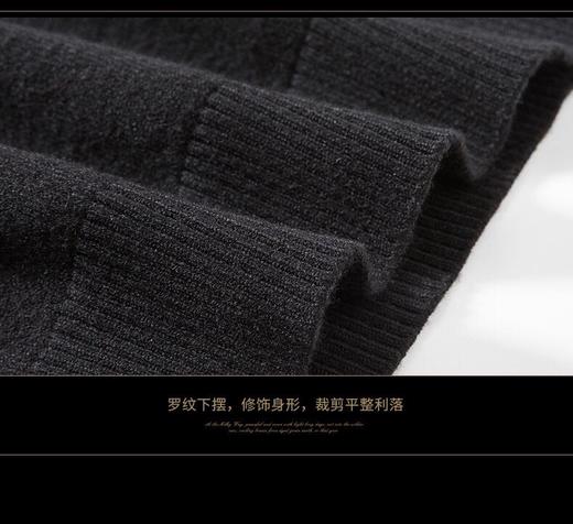 上男衬衣领毛衣28569 商品图2