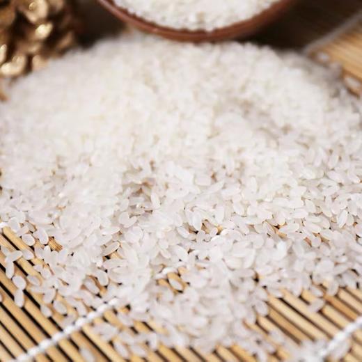 嘉禾香米10kg 商品图3