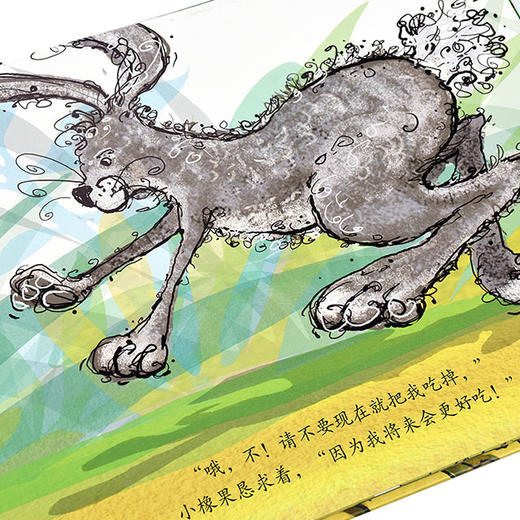 幸福的小种子 商品图8