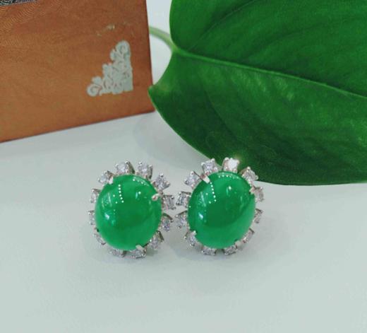 1F泰源丰翡翠耳钉 商品图0