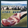 锡盟羔羊肉【羔羊前腿 】  1100g装 商品缩略图3