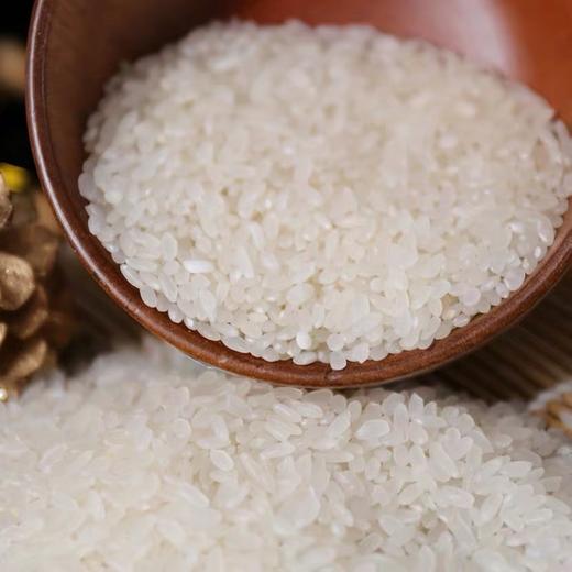 嘉禾香米10kg 商品图2