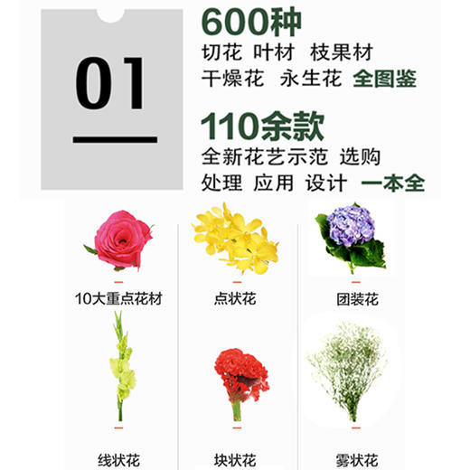 花艺素材大全升级版 陈根旺著 零基础学花艺插花素材大全教材书 花艺师书籍 商品图2