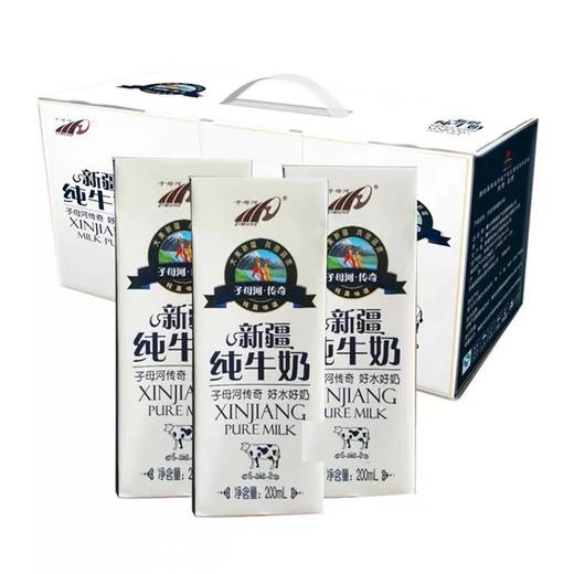 新疆子母河纯牛奶一箱12盒 商品图0