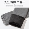 秋冬季棉质打底裤女新款加绒外穿高腰收腹保暖弹力瑜伽紧身长裤子 商品缩略图2