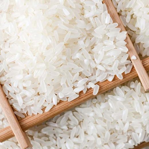 二龙屯草原雪米【5kg】当季新米 商品图1