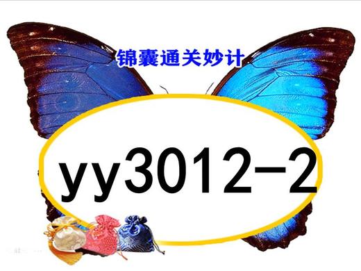 lme3123-yy3012-2 商品图0