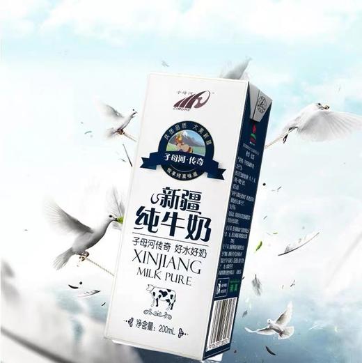 新疆子母河纯牛奶一箱12盒 商品图1