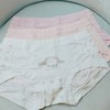 Z男女大童内裤4条1组 实际颜色比图片更新鲜些【甄选好货】 商品缩略图0