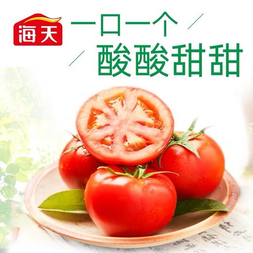 海天番茄沙司250g家用番茄酱意面披萨寿司手抓饼汉堡薯条酱番茄酱 商品图4