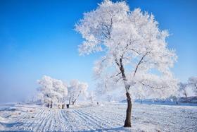  独家！比长白山小众，比雪乡纯粹，这才是东北玩雪不得不去的地方 