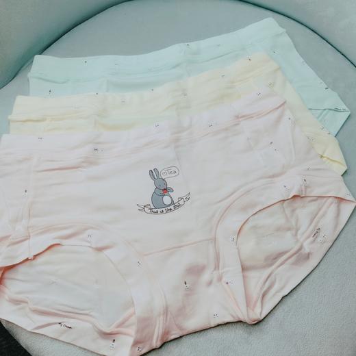 Z男女大童内裤4条1组 实际颜色比图片更新鲜些【甄选好货】 商品图1