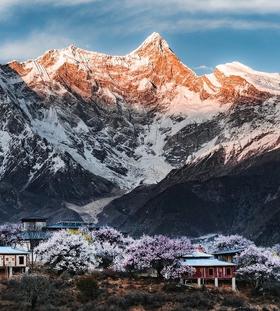 冬日拉萨，比西藏更西藏