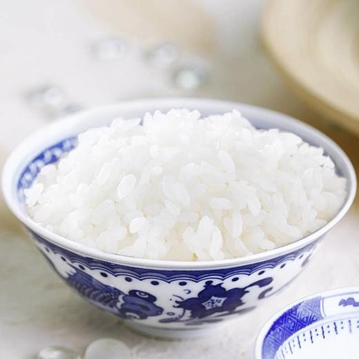 二龙屯草原雪米【5kg】当季新米 商品图3