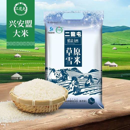 二龙屯草原雪米【5kg】当季新米 商品图0