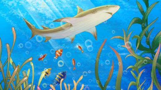 海底世界 商品图0