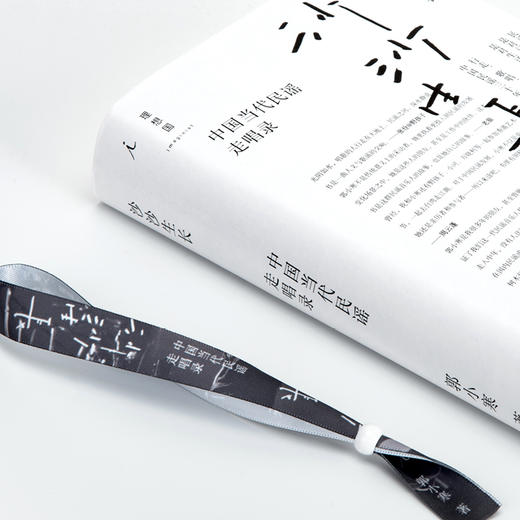 沙沙生长:中国当代民谣走唱录 郭小寒 商品图10