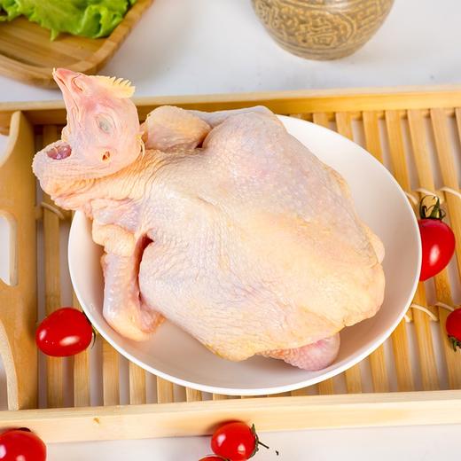 三黄鸡 商品图0