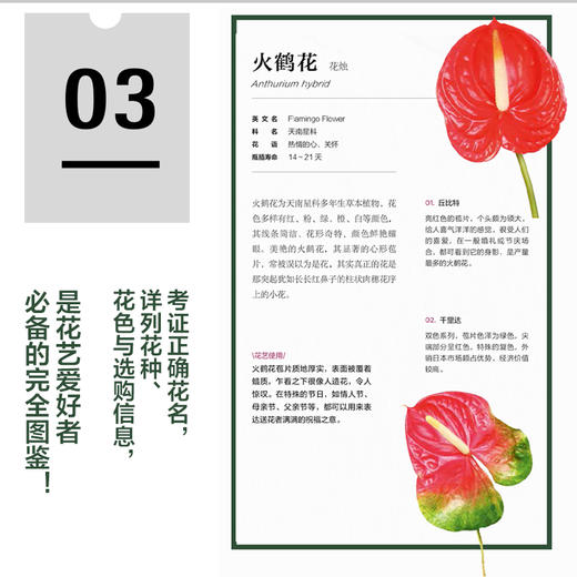 花艺素材大全升级版 陈根旺著 零基础学花艺插花素材大全教材书 花艺师书籍 商品图4