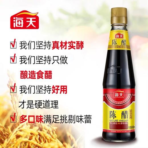 海天老陈醋450ml 商品图0