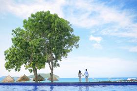 他们看到的，不过是海南的1%