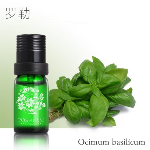 1F宝琪兰罗勒精油 商品图0
