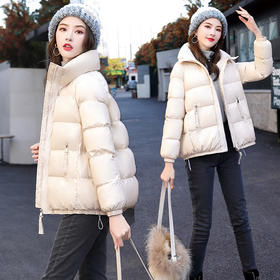 WZNH-ZRX9069时尚气质拉链门襟立领2020冬季百搭短款棉衣