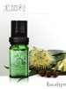 1F宝琪兰尤加利精油 商品缩略图0
