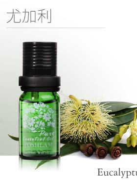 1F宝琪兰尤加利精油