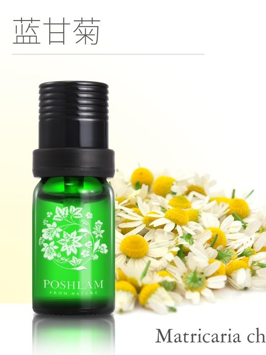 1F宝琪兰蓝甘菊精油 商品图0