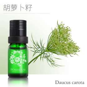 1F宝琪兰胡萝卜籽精油