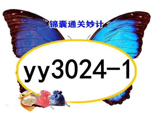 lme3149-yy3024-1 商品图0