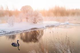 黑龙江，比极地更极地