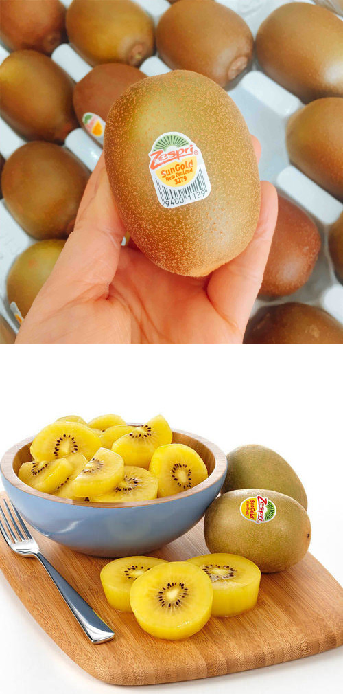 【水果】新西兰金果(只)