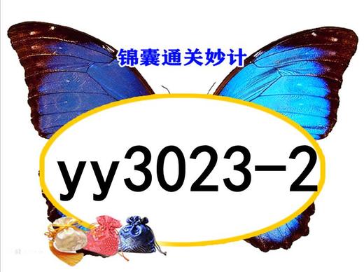 lme3149-yy3023-2 商品图0