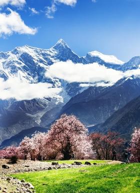  地球第三极，为什么是西藏？ 